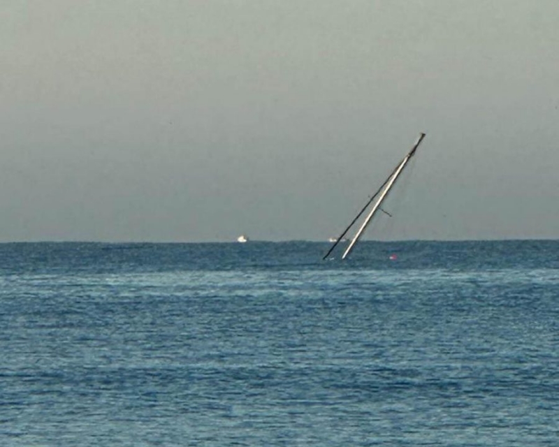 Una manada de orcas provoca el hundimiento de un velero en Barbate